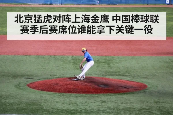 baseball pitcher on mound