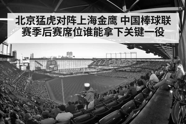 baseball stadium crowd